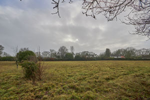 Land- click for photo gallery